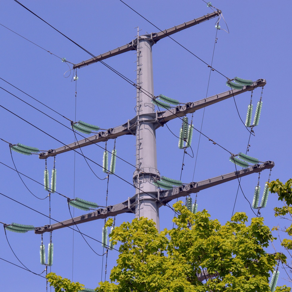 Electric pylon in green foliage
